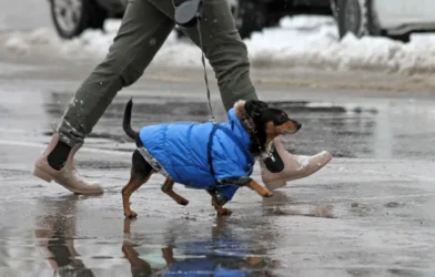 Soğuk Hava Dalgası Ülkeye Girdi: Kar ve Don Uyarısı