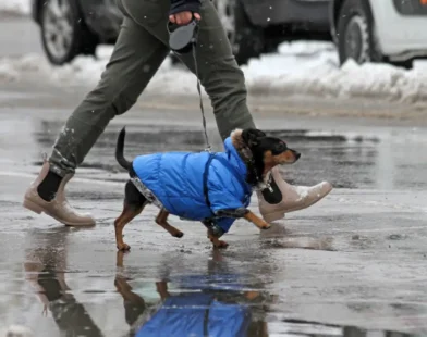 Soğuk Hava Dalgası Ülkeye Girdi: Kar ve Don Uyarısı