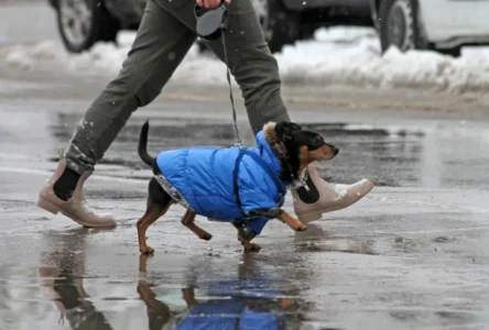 Soğuk Hava Dalgası Ülkeye Girdi: Kar ve Don Uyarısı