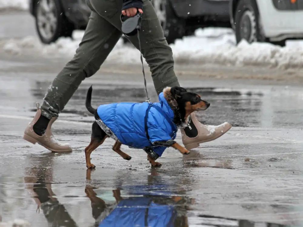 Soğuk Hava Dalgası Ülkeye Girdi: Kar ve Don Uyarısı