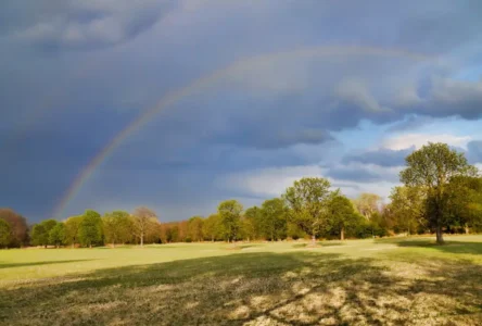 Sonbahara Geçiş: Avusturya’da Güneşli Başlangıç, Batıda Sağanak Yağmurlar