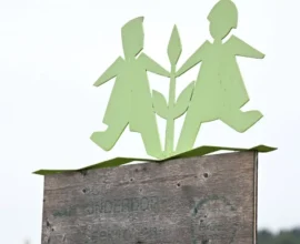 SOS Çocuk Köyü Krizi Derinleşiyor: Çalışanlara Saldırılar ve Ağır İddialar