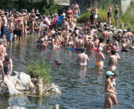 St. Pölten’de Festival Coşkusu, Traisen Nehri’ndeki Balıkları Tehdit Ediyor