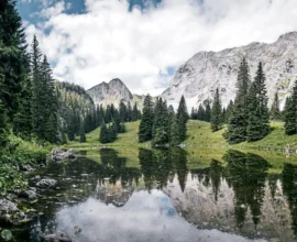 Steiermark’ta temel destekte “ödeme kartı” dönemi