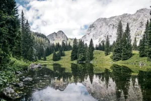 Steiermark’ta temel destekte “ödeme kartı” dönemi