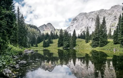 Steiermark’ta temel destekte “ödeme kartı” dönemi