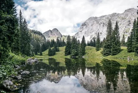 Steiermark’ta temel destekte “ödeme kartı” dönemi