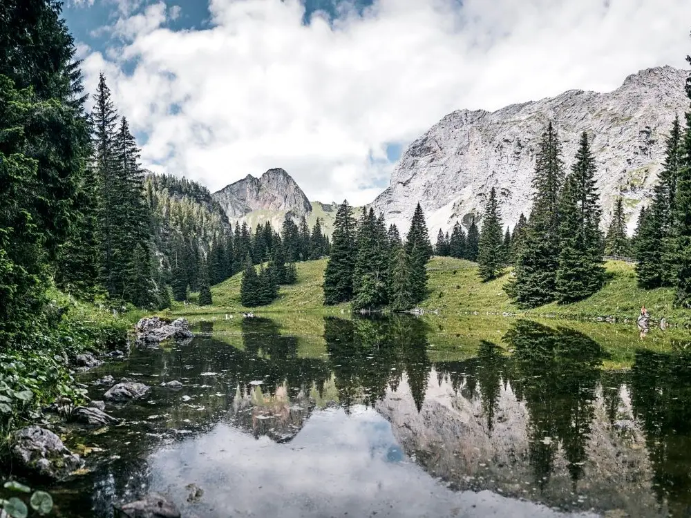 Steiermark’ta temel destekte “ödeme kartı” dönemi