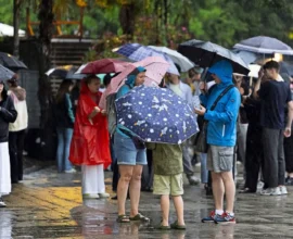 Temmuz Ayındaki Yağışlar Kuraklığa Çare Olabilir mi?