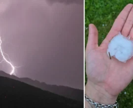 Tirol ve Vorarlberg’de Dolu Felaketi: Çiftçiler Büyük Zarar Gördü