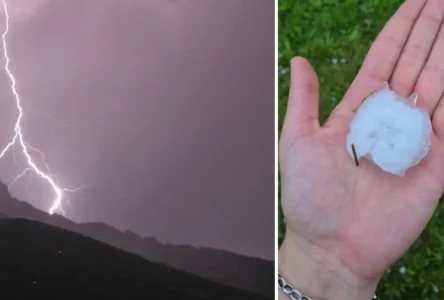 Tirol ve Vorarlberg’de Dolu Felaketi: Çiftçiler Büyük Zarar Gördü