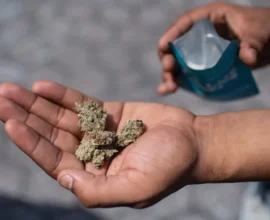 Tirol’de Şok Olay: Sürpriz Yumurta İçinde Öğrencilere Uyuşturucu Dağıtıldı