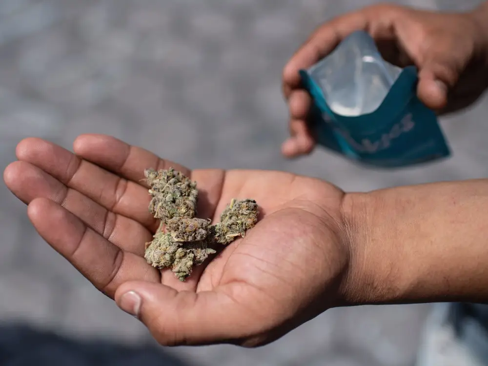 Tirol’de Şok Olay: Sürpriz Yumurta İçinde Öğrencilere Uyuşturucu Dağıtıldı Tirol’de Şok Olay: Sürpriz Yumurta İçinde Öğrencilere Uyuşturucu Dağıtıldı