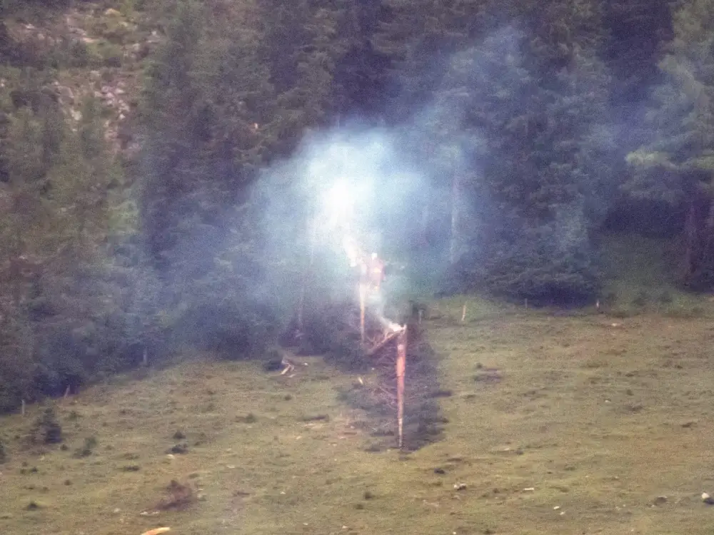 Tirol’de Yıldırım Düşmesi Sonucu Ağaç Yangını