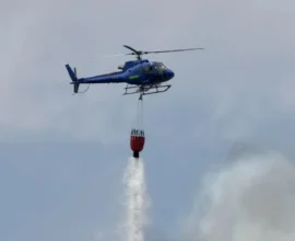 Toskana’daki Orman Yangını: 600 Kampçı Tahliye Edildi