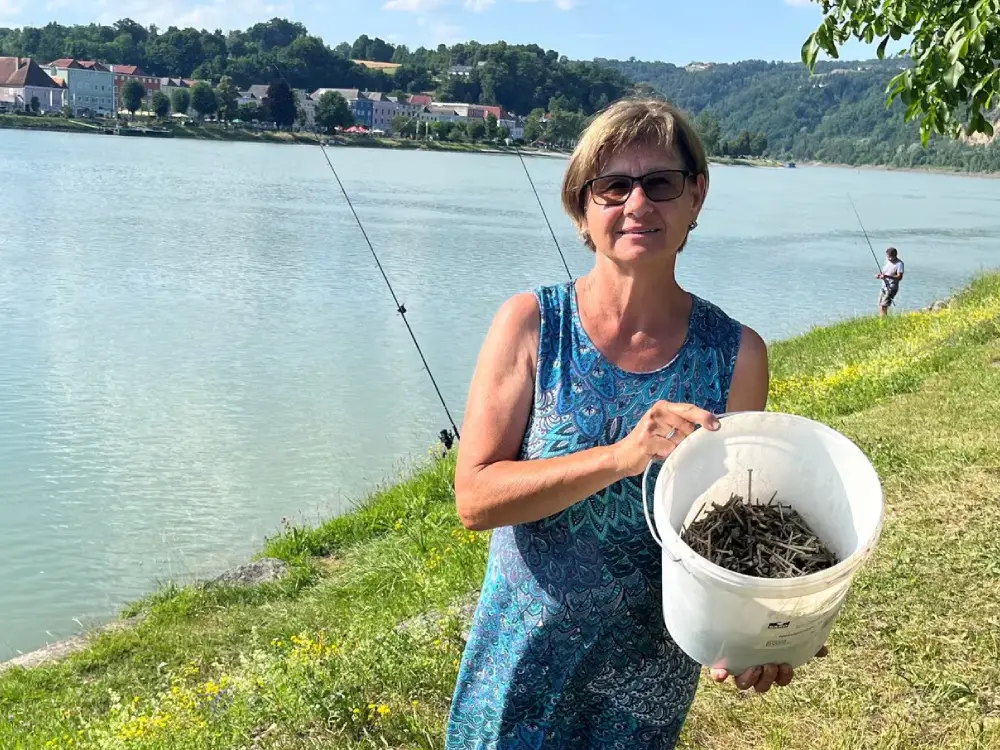 Tuna Nehri'nde Yüzücüler İçin Gizli Tehlike: Su Altında Çivi Tuzağı