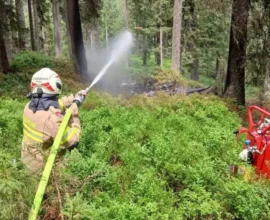 Tur Uçağı Almanya'dan Kalktı, Avusturya'da Düştü: 4 Kişi Öldü