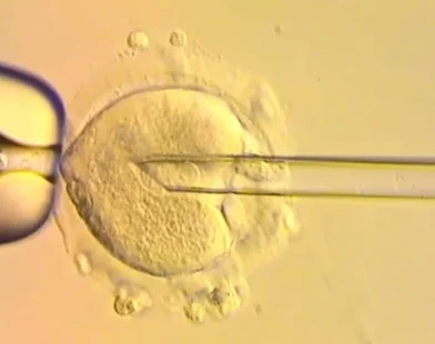 Üç Ebeveynli Bebekler: Genetik Mucize mi, Tehlikeli Gelecek mi?