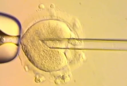 Üç Ebeveynli Bebekler: Genetik Mucize mi, Tehlikeli Gelecek mi?