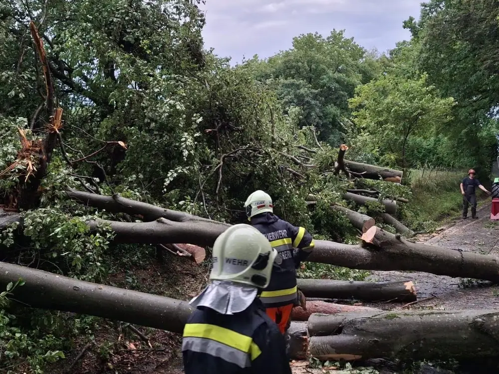 Ülke Genelinde Fırtına Alarmı: Yaralılar, Kurtarma Operasyonları ve Yüzlerce İtfaiye Müdahalesi Ülke Genelinde Fırtına Alarmı: Yaralılar, Kurtarma Operasyonları ve Yüzlerce İtfaiye Müdahalesi