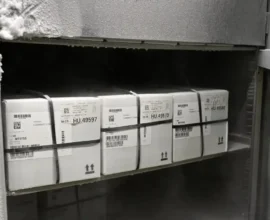 Uzman Uyarıyor: Covid Aşısı İçin En Doğru Dönem Başladı