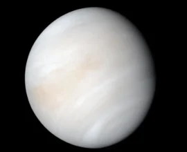 Venüs’teki Halka Şeklindeki Yapılar, Yeraltında Beklenmedik Bir Jeolojik Hareketliliğe İşaret Ediyor