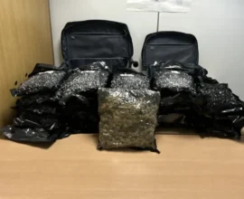 Viyana Havalimanı’nda 25 Kilo Esrarla Yakalanan İngiliz Tutuklandı