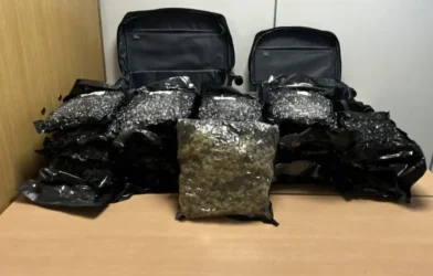 Viyana Havalimanı’nda 25 Kilo Esrarla Yakalanan İngiliz Tutuklandı Viyana Havalimanı’nda 25 Kilo Esrarla Yakalanan İngiliz Tutuklandı