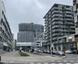 Viyana’da 22 Yaşındaki Kadın, Doğurduğu Bebeğini Otelde Boğarak Öldürdü