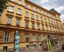 Viyana’da Ana Caddelere 30 km Hız Limiti: Güvenlik mi, Zulüm mü?