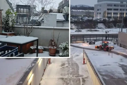 Viyana’da Beklenenden Erken Gelen İlk Kar: Ülke Genelinde Kış Şoku