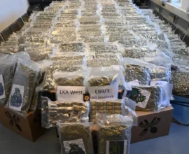 Viyana’da Dev Uyuşturucu Operasyonu: 317 Kilo Esrar Ele Geçirildi