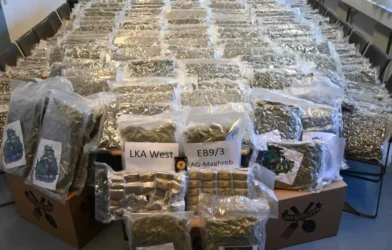 Viyana’da Dev Uyuşturucu Operasyonu: 317 Kilo Esrar Ele Geçirildi