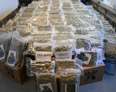 Viyana’da Dev Uyuşturucu Operasyonu: 317 Kilo Esrar Ele Geçirildi