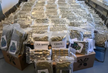 Viyana’da Dev Uyuşturucu Operasyonu: 317 Kilo Esrar Ele Geçirildi