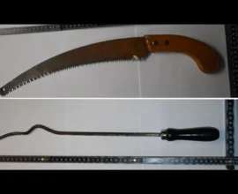 Viyana’da Ev Sakininden Saldırı: İki İşçi Ölümle Tehdit Edildi