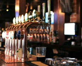 Viyana’da Fransız Öğrenci, Silahlı Soyguncuyu Kaçırdı