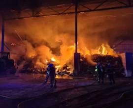 Viyana'da Geri Dönüşüm Merkezi Yandı: Nedeni Henüz Bilinmiyor