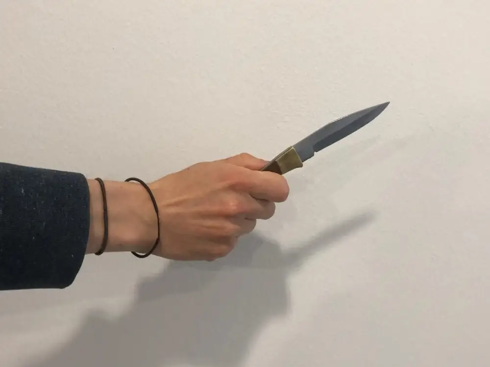 Viyana’da Komşu Kavgası Kanlı Bitti: Bıçak Çekti