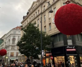 Viyana’da Noel Hazırlıkları Başladı: İlk Işıklar Yanıyor