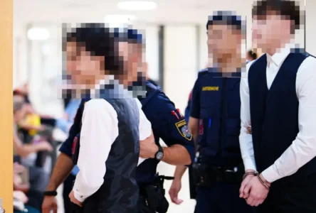 Viyana’da Sahte Pedofili Avı: 18 Soygun, Yıllarca Hapis Cezası