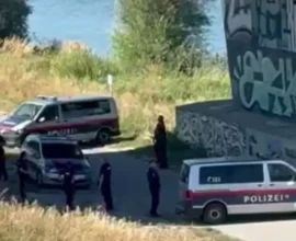 Viyana’da Suya Atılan Adamın Ölümü: Cinayet Şüphesi Güçleniyor