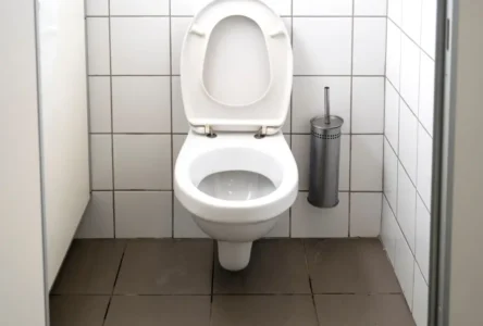 Viyana’da Tuvalet Kullanımında Kadınlara Ayrımcılık İddiası