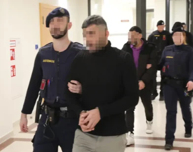 Viyana'da Tüyler Ürperten Olay: Yardım Yercine İstismar