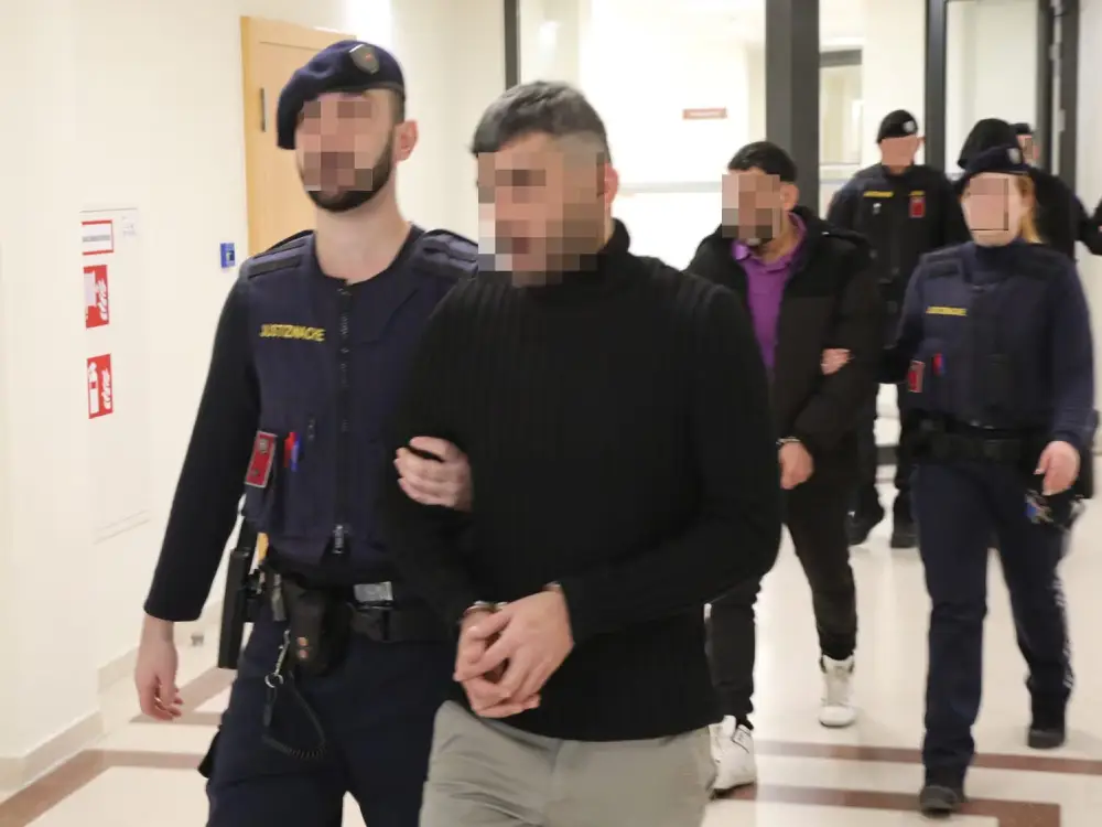 Viyana'da Tüyler Ürperten Olay: Yardım Yercine İstismar