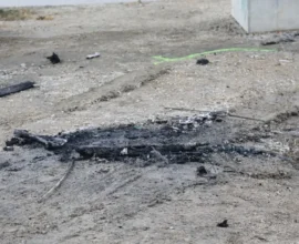 Viyana’da Yanan Araçtan Ukraynalı Gencin Cesedi Çıktı: Soruşturma Sürüyor