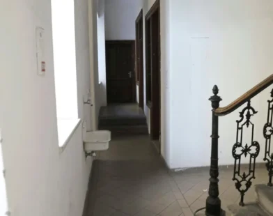 Viyana’daki Cinsel İstismar Davasında 10 Sanığa Beraat Tepki Çekti