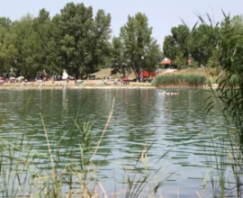 Viyana’daki Göl Faciası: Küçük Kız Boğularak Can Verdi