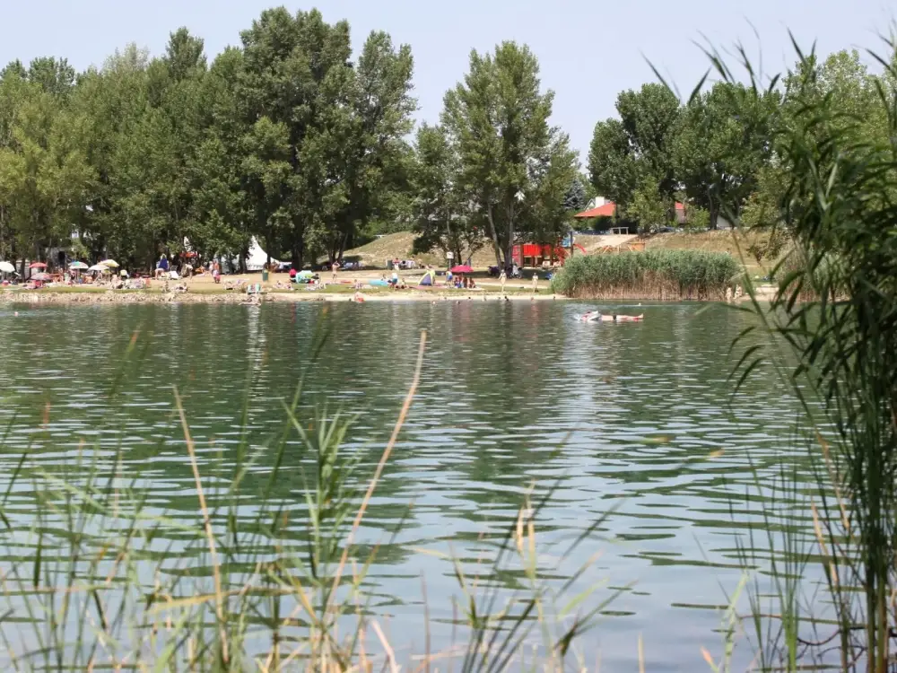 Viyana’daki Göl Faciası: Küçük Kız Boğularak Can Verdi