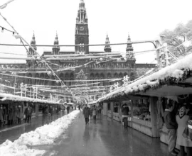 Viyana'nın Kalbi: Rathausplatz Noel Pazarı’nın 50 Yıllık Dönüşümü